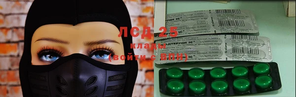 дурь Ельня