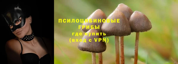 экстази Дмитриев