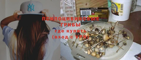 прущая мука Елабуга
